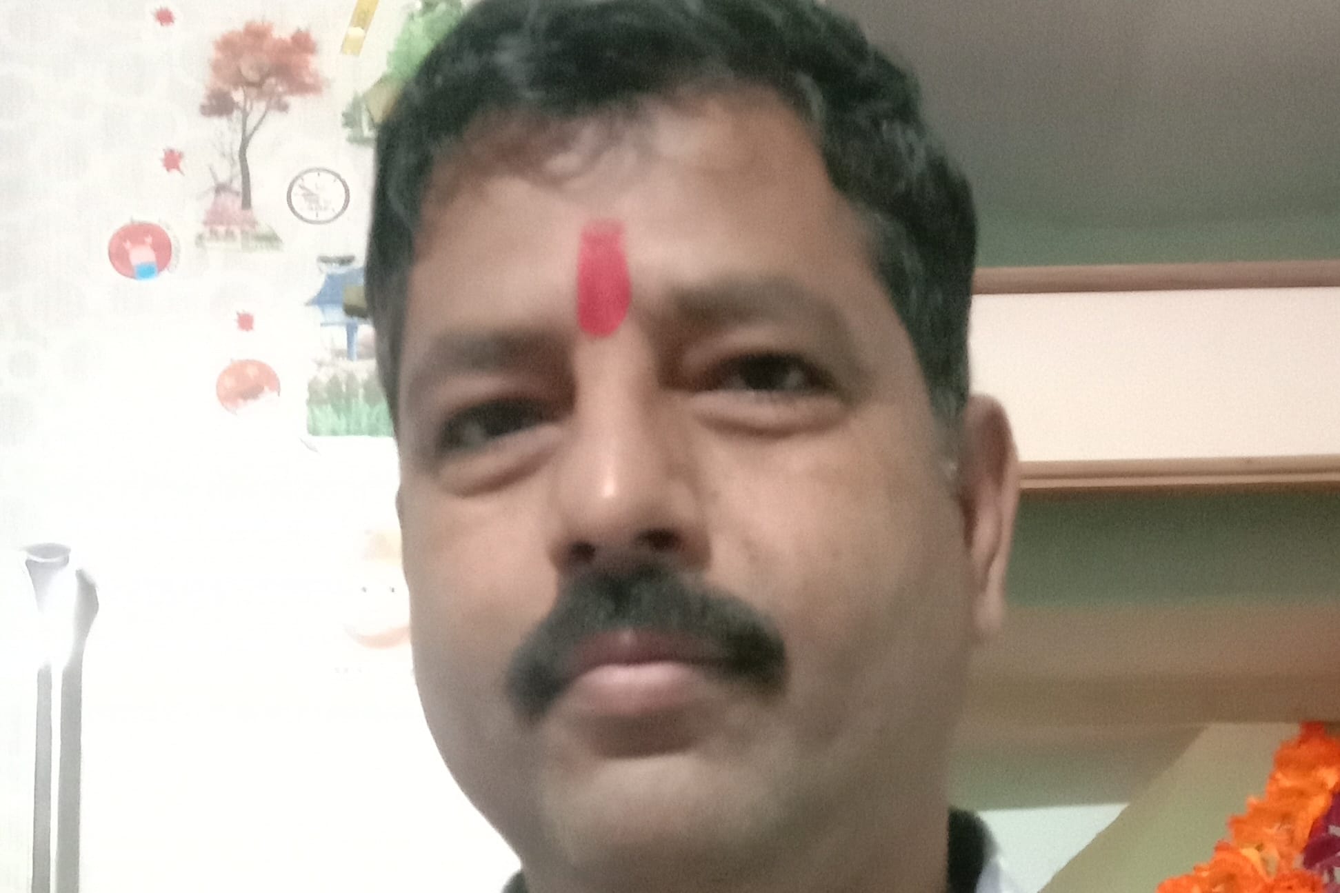 Portfolio for accountancy, data entry