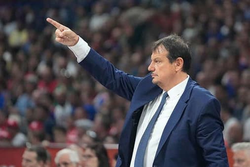 Portfolio for Ergin Ataman: 