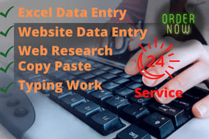 An Affordable Data Entry, Typing, Copy-Paste & Excel Spreadsheet