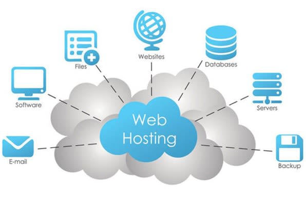 Portfolio for Website Hosting Related Support