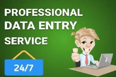 Portfolio for Data Entry