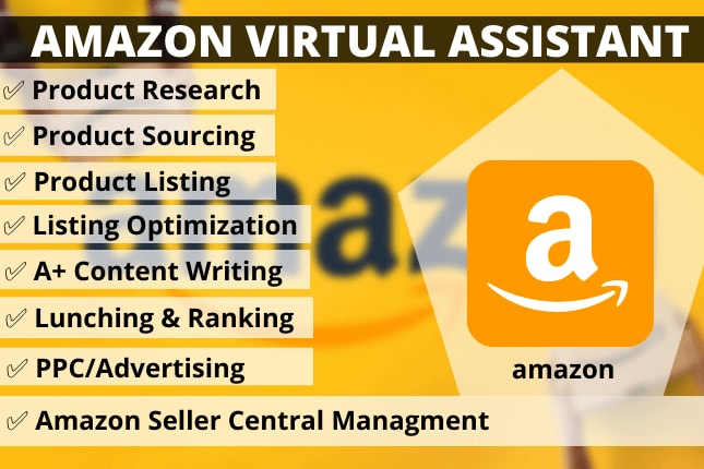 Portfolio for Amazon Virtual Assistant  PPC Specialist