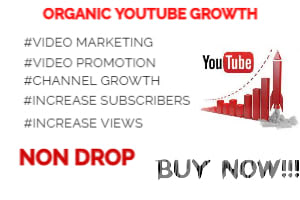 Portfolio for Youtube Channel Growth