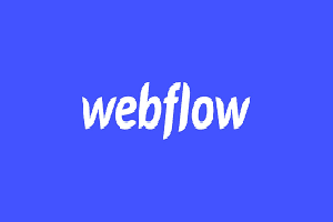 Portfolio for Develop, customize and fix Webflow