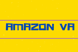 Portfolio for AMAZON VA