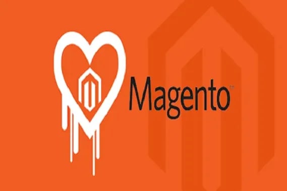 Portfolio for Recommended Expert Magento Developer