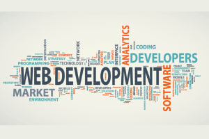 Portfolio for Website Development Services