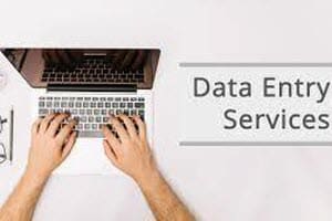 Portfolio for Data Entry Expert