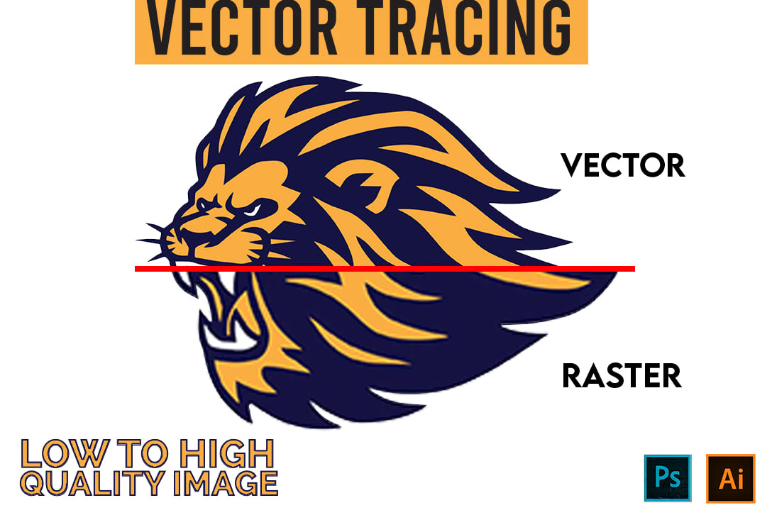 Portfolio for vector tracing