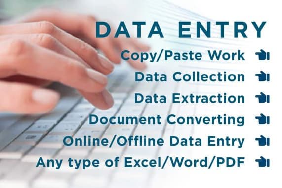 Portfolio for Expert in data entry ,data input