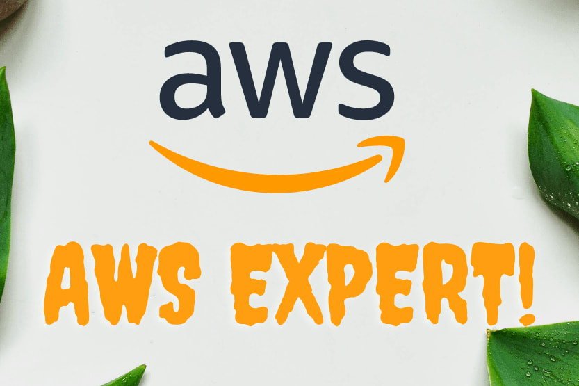 Portfolio for Amazon web services expert