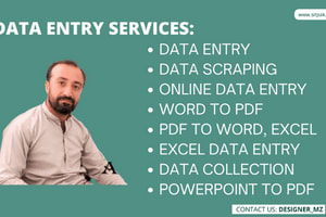 Portfolio for Excel Data Entry in 24 hours