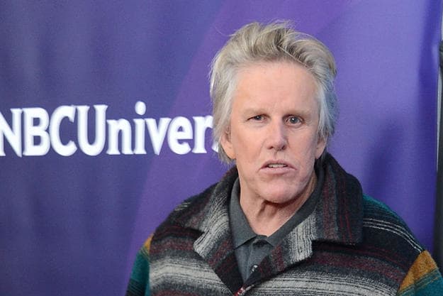 Portfolio for Gary Busey Sex-Crime Charges