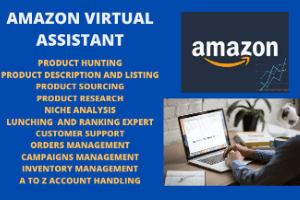 Portfolio for Amazon Virtual Assistant