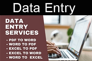 Portfolio for Data Entry and Copy Paste Projects