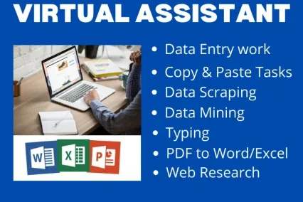 Portfolio for Data Entry