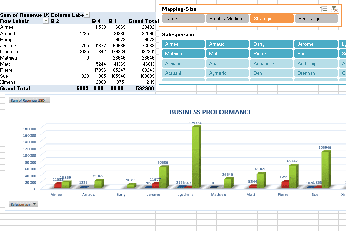 Portfolio for Pivot Tables, Pivot Charts, Graphs, Slic