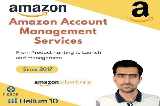 Portfolio for Amazon PPC, FBA,PL, Product Research VA