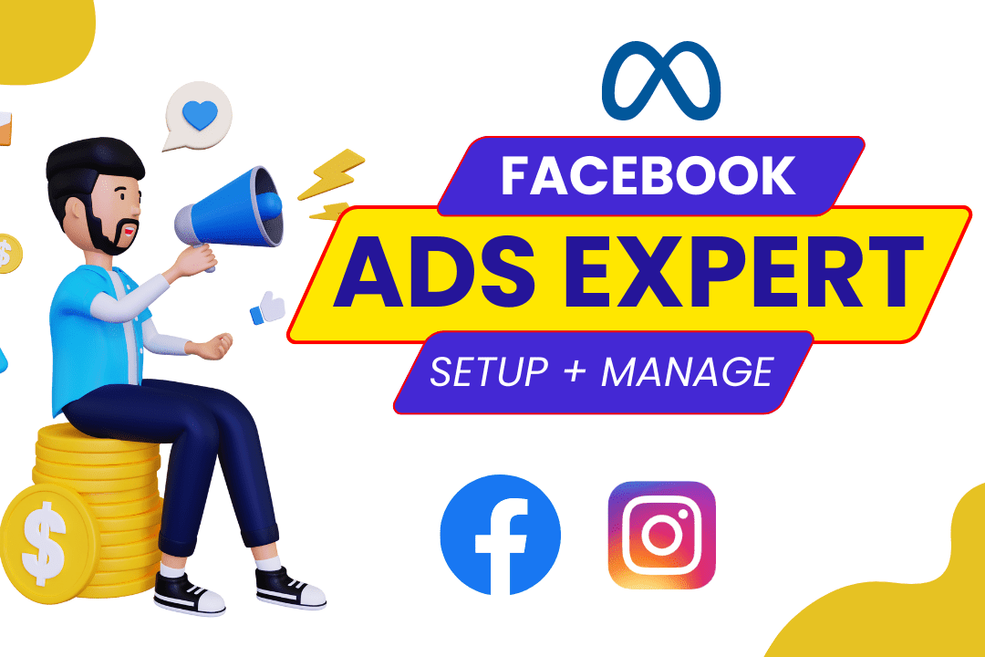 Portfolio for Setup and Manage Facebook Ads campaign