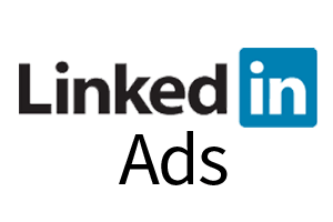 Portfolio for LinkedIn Ads Management