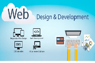 Portfolio for Website Design and Website Development