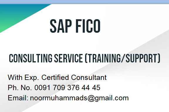 Portfolio for SAP FICO Consultant (Training/Support)