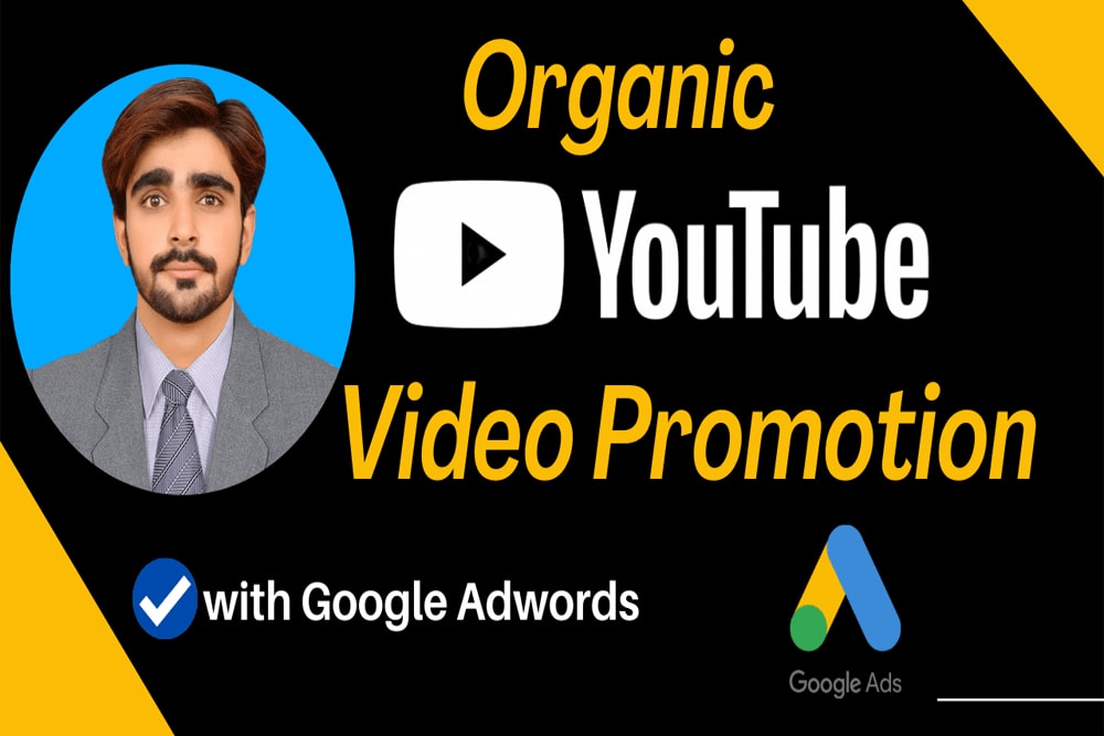 Portfolio for YouTube Video Promotion Organic Views