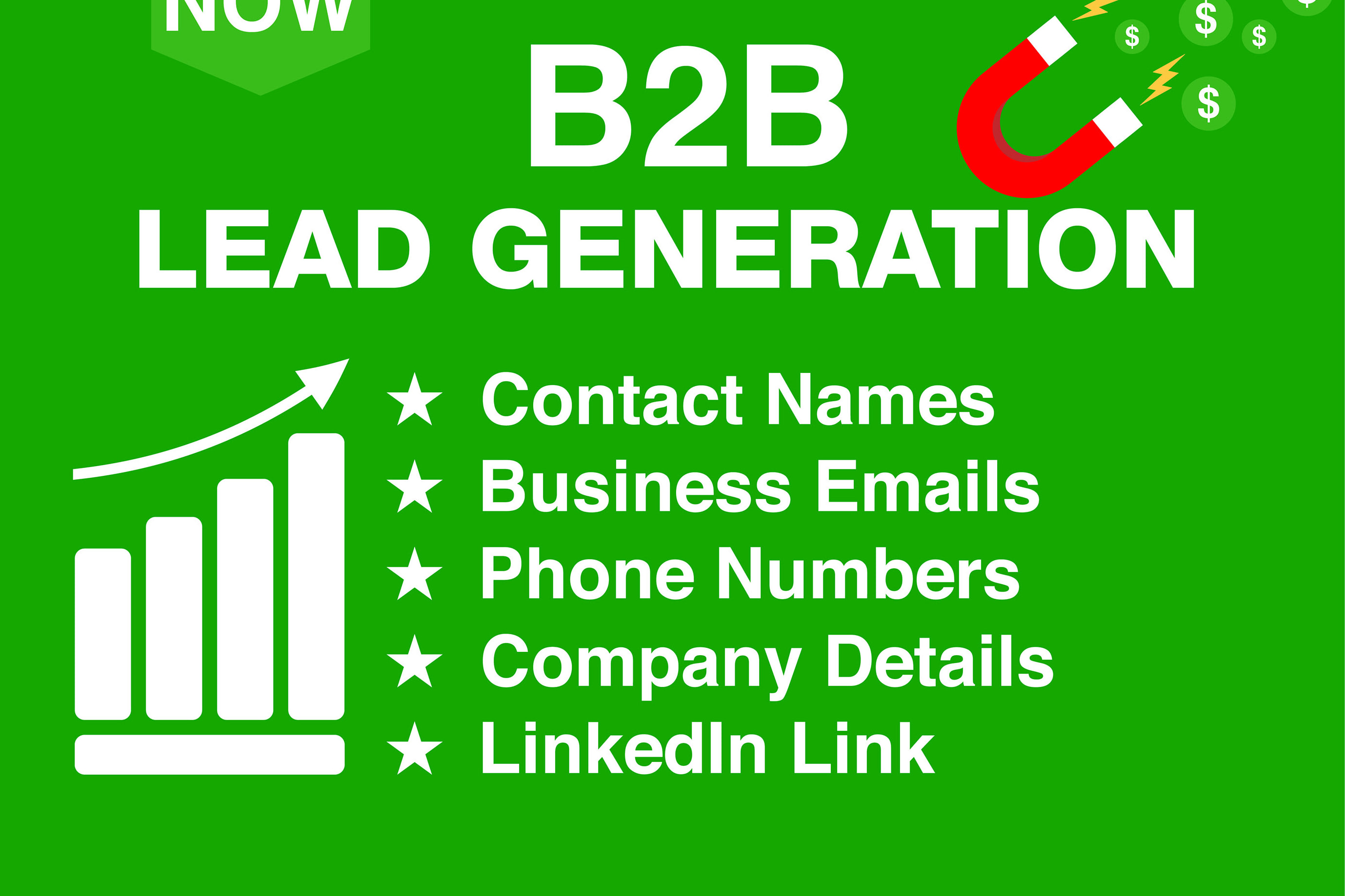 Portfolio for B2b Lead Generation, Email List Building