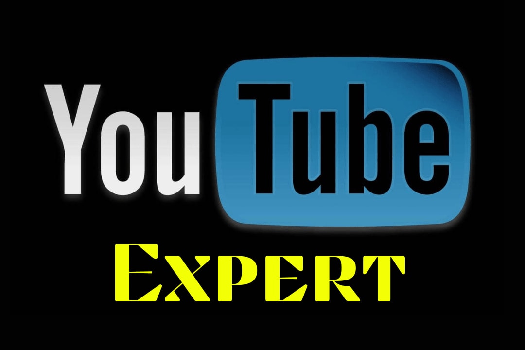 Portfolio for YouTube Expert