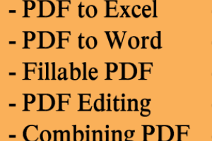 Portfolio for Pdf conversion and Data entry