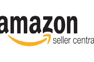 Portfolio for Amazon Seller central account management