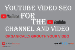 Portfolio for I will do youtube SEO for the channel an