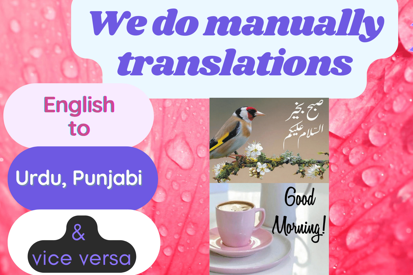 Portfolio for Translate English to Urdu and Punjabi