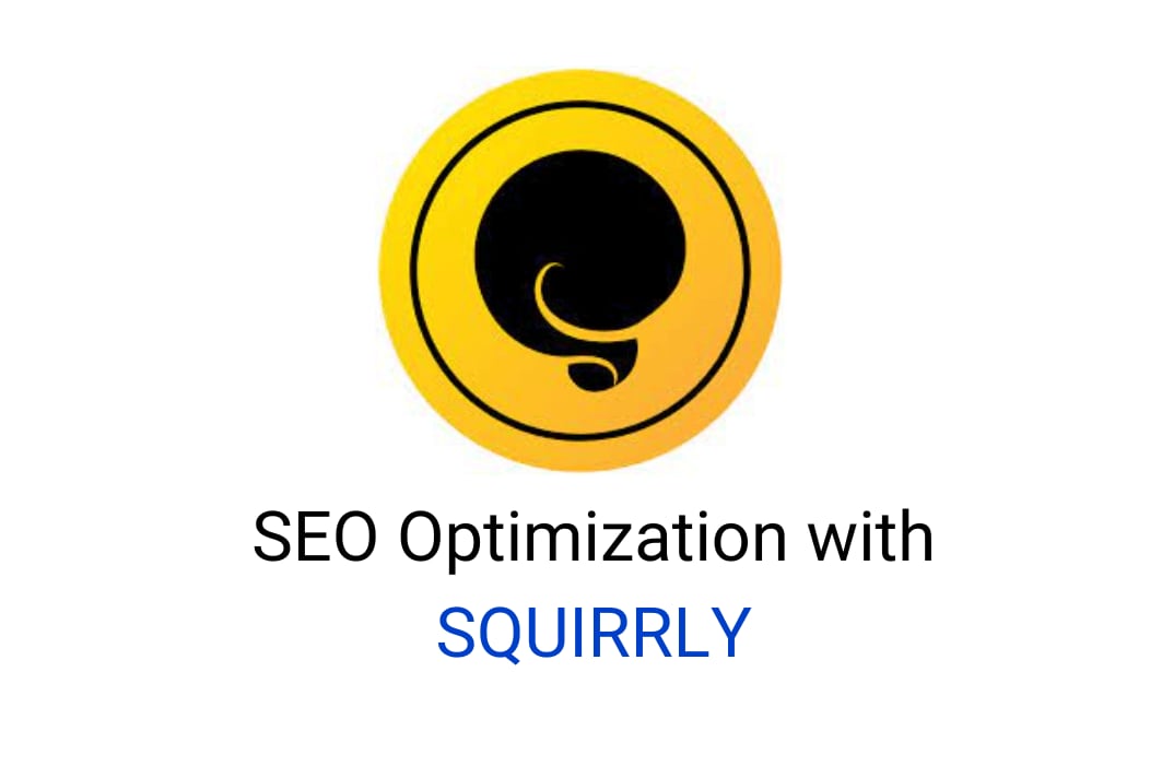 Portfolio for SEO with squirrly plugin