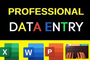 Portfolio for Data entry, copy-paste and web serach