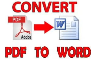 Portfolio for Convert PDF to MS Word document