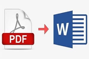 Portfolio for Data Entry, PDF to word , PDF to excel