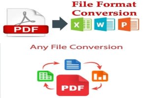 Portfolio for File Conversion, Transcription