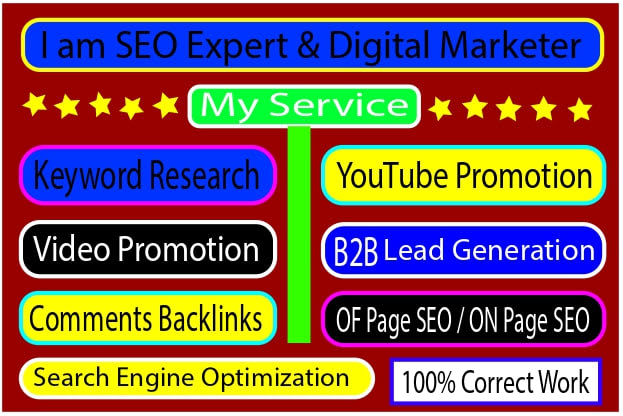 Portfolio for SEO Expert & Digital Marketer