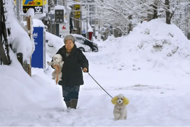 Portfolio for Asia Has Had a Really Cold Month, Courte