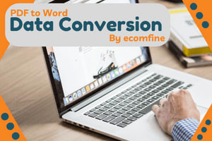 Portfolio for Convert PDF to Word | Data Conversion