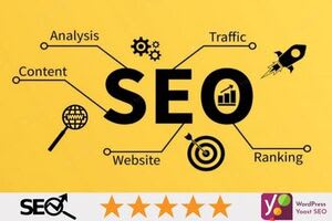 Portfolio for SEO ranking,Traffic, On page ,Off page