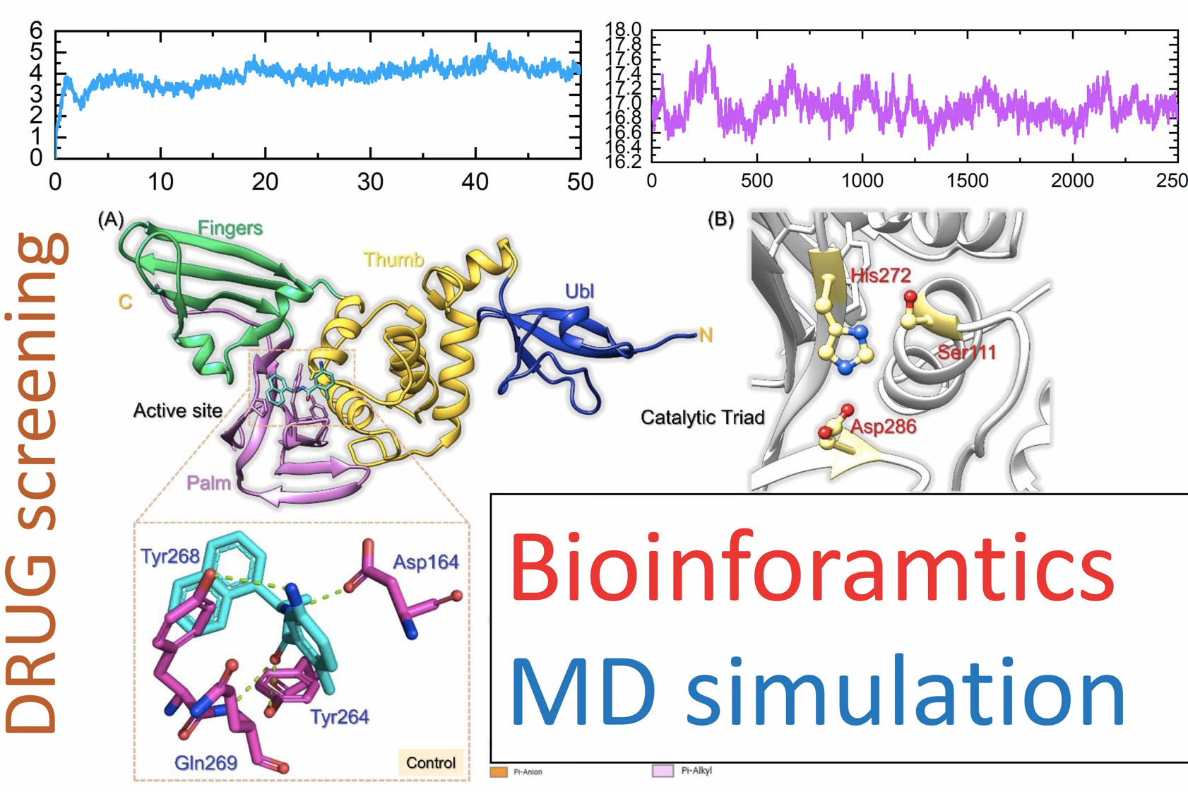 Portfolio for Bioinformatics analysis