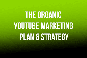 Portfolio for YouTube Organic Growth Plan & Strategy