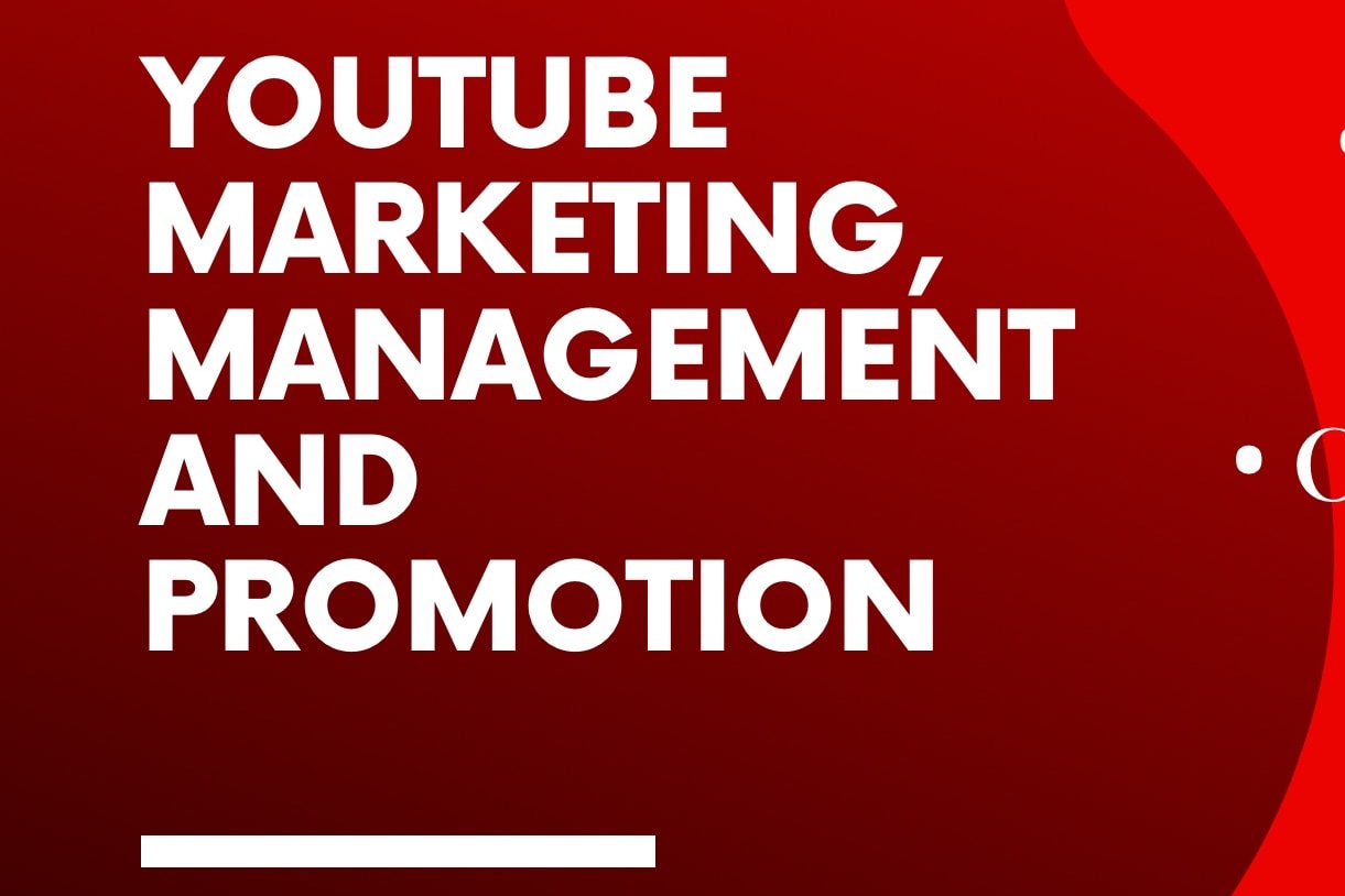 Portfolio for Youtube Marketing Management Promotion
