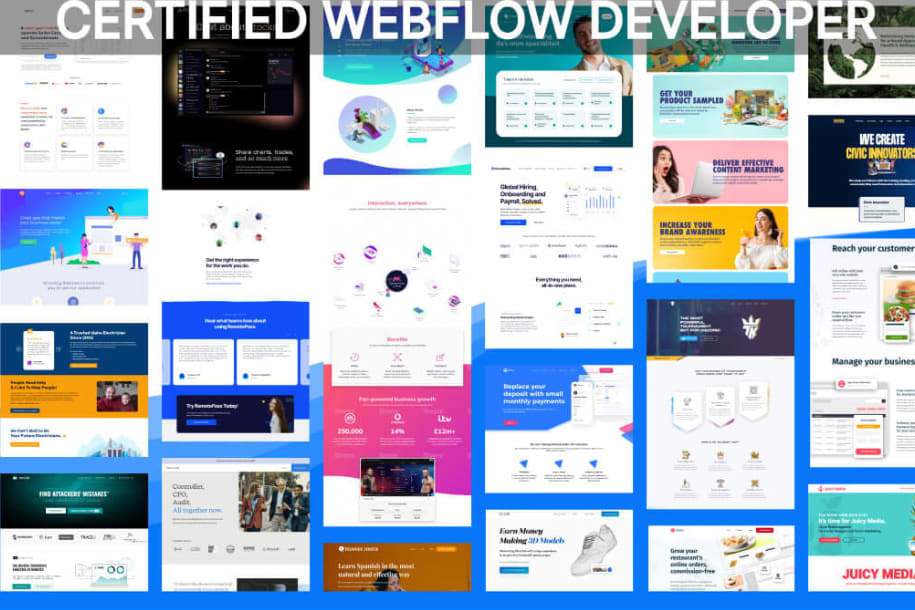 Portfolio for Webflow Developer