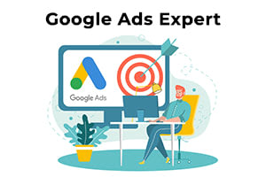 Portfolio for Google Ads Expert