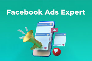 Portfolio for Facebook Ads Expert