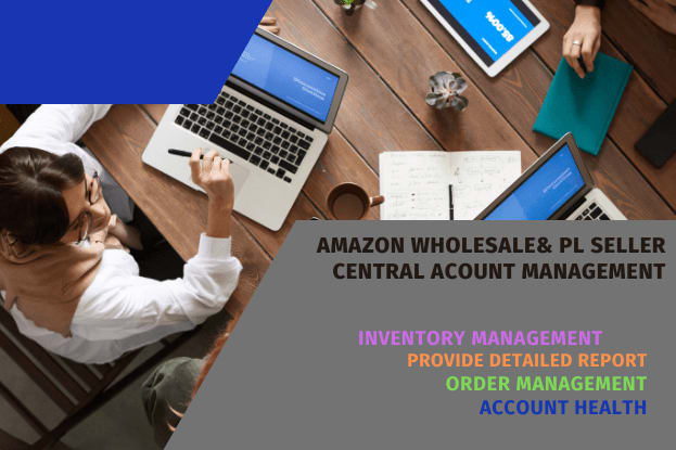 Portfolio for Amazon seller central Management