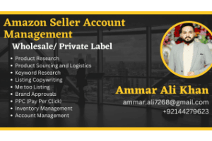 Portfolio for Amazon Account Management